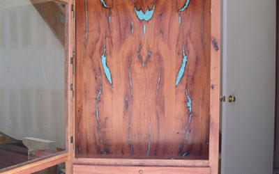Mesquite Gun Cabinet / Safe Room Door